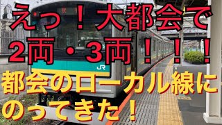 【ローカル線】関東の大都市を走るローカル線に乗って来た！！！