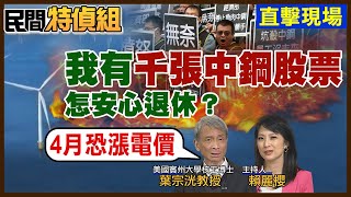 【全字幕】綠電愈用愈虧 4月恐漲電價？\