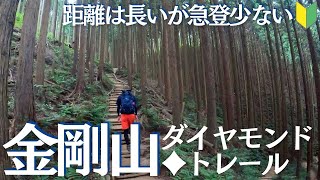 金剛山初心者にオススメ！ダイヤモンドトレール経由で山頂へ　初心者ソロ登山Vol.12