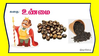 Motivational story in Tamil,king and dead seed @agribabuji #motivational #storytime #story #stories