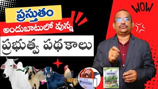 Animal Husbandry Government Subsidy Schemes - సబ్సిడీ పై వివిధ ప్రభుత్వ పథకాలు -