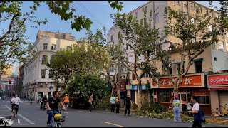 Zhapu Road｜Walking Morning  4K ｜Shanghai Tour｜Huqiu Road｜Sichuan Road｜Fuzhou Road｜Dahuchun Dumpling