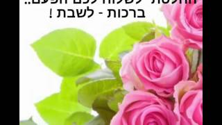 ברכות לשבת- שלום ומקסימה! עם שיר מקסים שיפתח את לבנו..❤