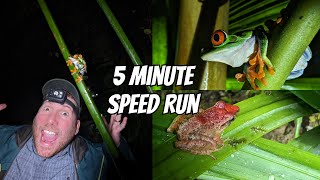 Costa Rica Herping Speed Run