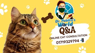 বিড়ালের চিকিৎসা ও যত্ন QnA || Dr. Pobitro Mohonto ||  Online Cat Consultant