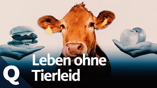 Vegan leben: Auf tierische Produkte verzichten | Quarks