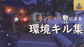 【OverWatch】エンジョイ勢による環境キル集