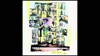 Terraplane Sun "Ya Never Know"