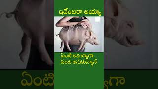 ఇదేందిరా అయ్యా|| చిత్రం భళారే చిత్రం || #funnyshorts #shorts