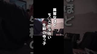 生粋の寺っ子へ 世界にたった一つのプレゼント #shorts #youtubeshorts