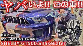 【アメ車】シェルビーGT500 850馬力フルカスタムのスネークイーターがヤバすぎた！【WING AUTO】