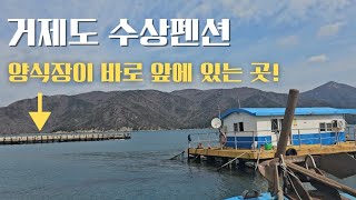 거제도 수상펜션 왔는데 양식장이 바로 앞에 있다면? ..거제근포해상콘도 상세요약! Geoje Island Water Pension