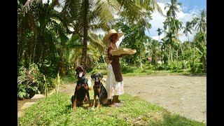 අහසින් වැටෙන එක් දිය බිඳක්  අපතේ නොඅරින සංකල්ප වගා බිම