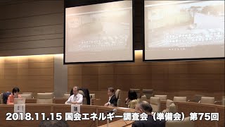 国会エネルギー調査会(準備会)第75回