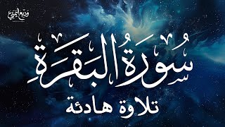 سورة البقرة لطرد الشياطين وجلب البركة Surat Al-Baqarah Wadee Al Yemeni