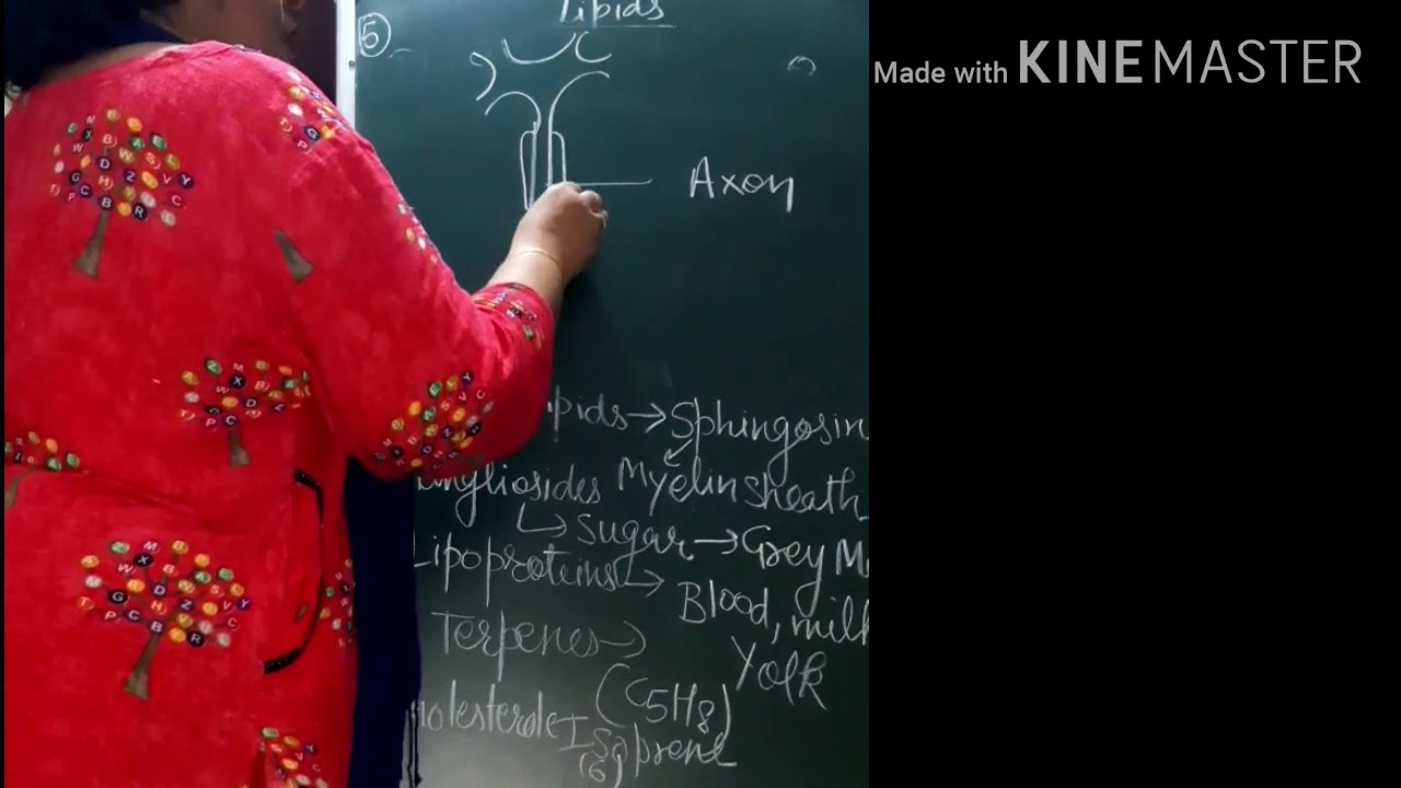 Biomolecules Youtube