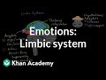 Emotions: limbic system | Processing the Environment | MCAT | Khan Academy