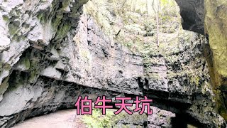 【一个人穷游中国】徒步秦巴山区伯牛天坑，喀斯特地貌非常神奇，道路陡峭泥泞难行