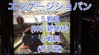 【スターホース２】　ー 158頭目ー　エンゲージショパン　5戦目(神戸新聞杯)、6戦目(帝王賞)