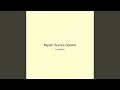 Mystic Aurora Serene