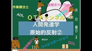 人間発達学（原始的反射②）　16時間目「作業療法士（OT）の為の国家試験対策」