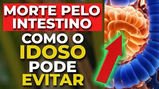 MORTE PELO INTESTINO? Descubra Como o Idoso pode Evitá-la