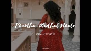 Paartha Mudhal Naale|slowed+reverb|Aesthetic Songs|Aesthetic Vibes