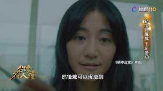 台灣名人堂 2017-03-26 《積木之家》演員導演