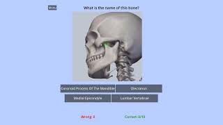 Anatomy Quiz Game the best way to learn anatomy names?
