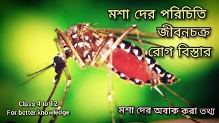 মশার পরিচয়, জীবনচক্র, রোগ বিস্তার