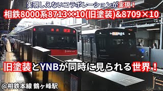 【実現しえないすれ違いが実現！】相鉄8000系8709×10(リニューアル車) + 8713×10(旧塗装リバイバル) 鶴ヶ峰駅通過