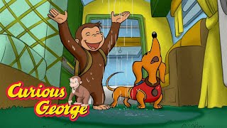 The Flooded Camping Trip 🐵 Curious George 🐵 Kids Cartoon 🐵 Kids Movies