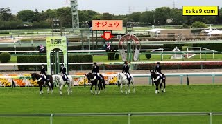 【現地】 2021 中山グランドジャンプ オジュウチョウサン 他 本馬場入場