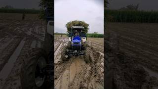 farmtrac 6065 4×4 @Deepathwal6065 #sidhumoosewala #modified