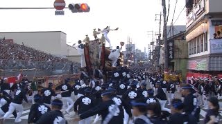 平成28年岸和田だんじり祭  曳き出し２（一部）