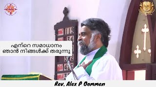 എന്റെ സമാധാനം ഞാൻ നിങ്ങൾക്ക് തരുന്നു | October 15, 2023 | Rev. Alex P Oommen