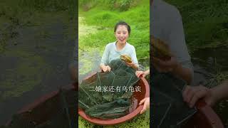 【村裏一枝雪妹妹】夏天農村溝裏牛蛙多到爆,妹子半小時抓爆簍子，現捕現吃真的很過癮#美食分享#農村生活 #shorts