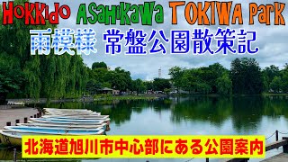 【夏～雨模様 旭川常盤公園散策記】北海道旭川中心部にある公園のご案内。令和５年７月１８日火