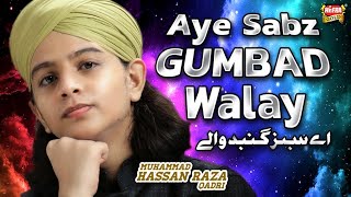 Muhammad Hassan Raza Qadri - Aye Sabz Gumbad Walay - New Ramzan Heart Touching Naat 2020 -Heera Gold