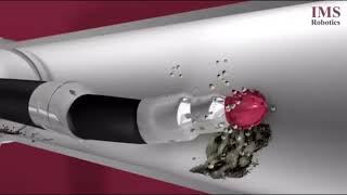 IMS Robotic Cutter
