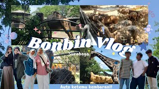 ୨ৎ─ BONBIN VLOG :  a day with tugas kelompok⋆ 🦢 𖦹.✧˚ by kelompok 3