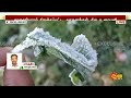 frozen snow tamil nadu nilgiris kodaikanal night meteorological department