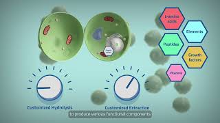 How can BloomGenixTM be used to formulate high-performing biostimulants?