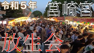 【イベント】博多三大祭り「筥崎宮放生会」#筥崎宮 #箱崎宮　#筥崎 #hakozaki #御神幸 #御神輿行列 #放生会