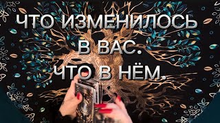 Что изменилось в вас, в вашем поле. Что изменилось у него‼️