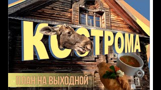 Кострома. План на выходной. Лосиная ферма и этнографический музей.