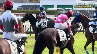 2024.11.16福島競馬場7レース　スタート前の輪乗り