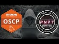 OSCP vs TCM Security PNPT : Which One You Should Pursue?