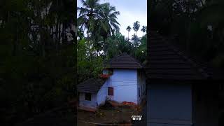 നാട്ടിൽ പോയാൽ