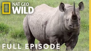 Tigers, Rhinos, & Naked Mole Rats (Full Episode) | Everything You Didn't Know About Animals